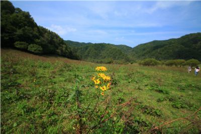 大水川景区