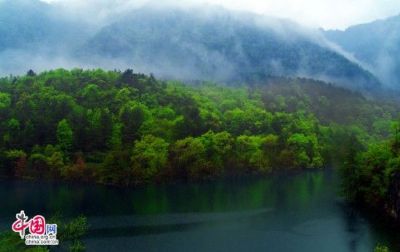 青峰峡森林公园