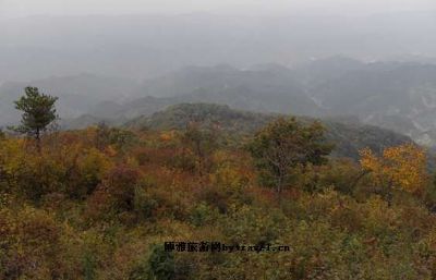 秦王山自然风景区