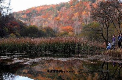 劳山森林公园