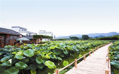 姚山村群山屯