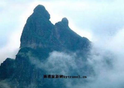 亚婆揽孙山