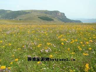 历山舜王坪景区