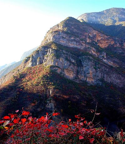 登龙峰