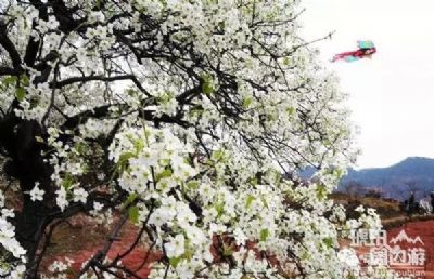 栖贤梨花沟风景区