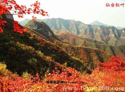 仙台山