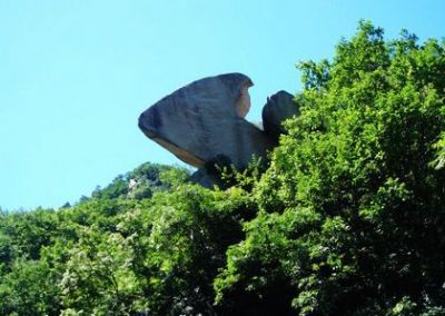 古火山次生林植物园