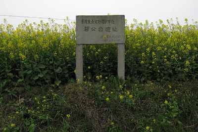 碧公台遗址