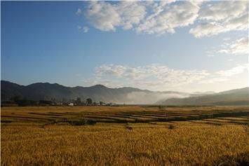 辽宁抚顺社河国家湿地公园