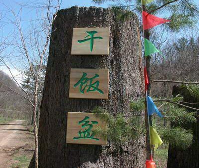 干饭盆景区