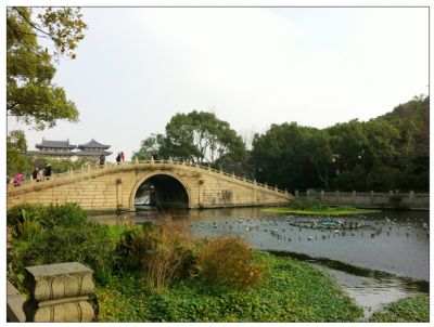 普陀山海印地（莲花池）