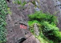 大红袍景区