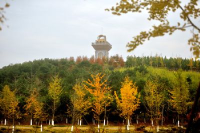 藏龙岛国家级湿地公园