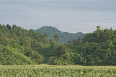 夏园行宫