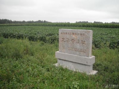 龙华寺遗址