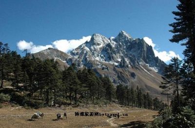 莱芜孔雀山